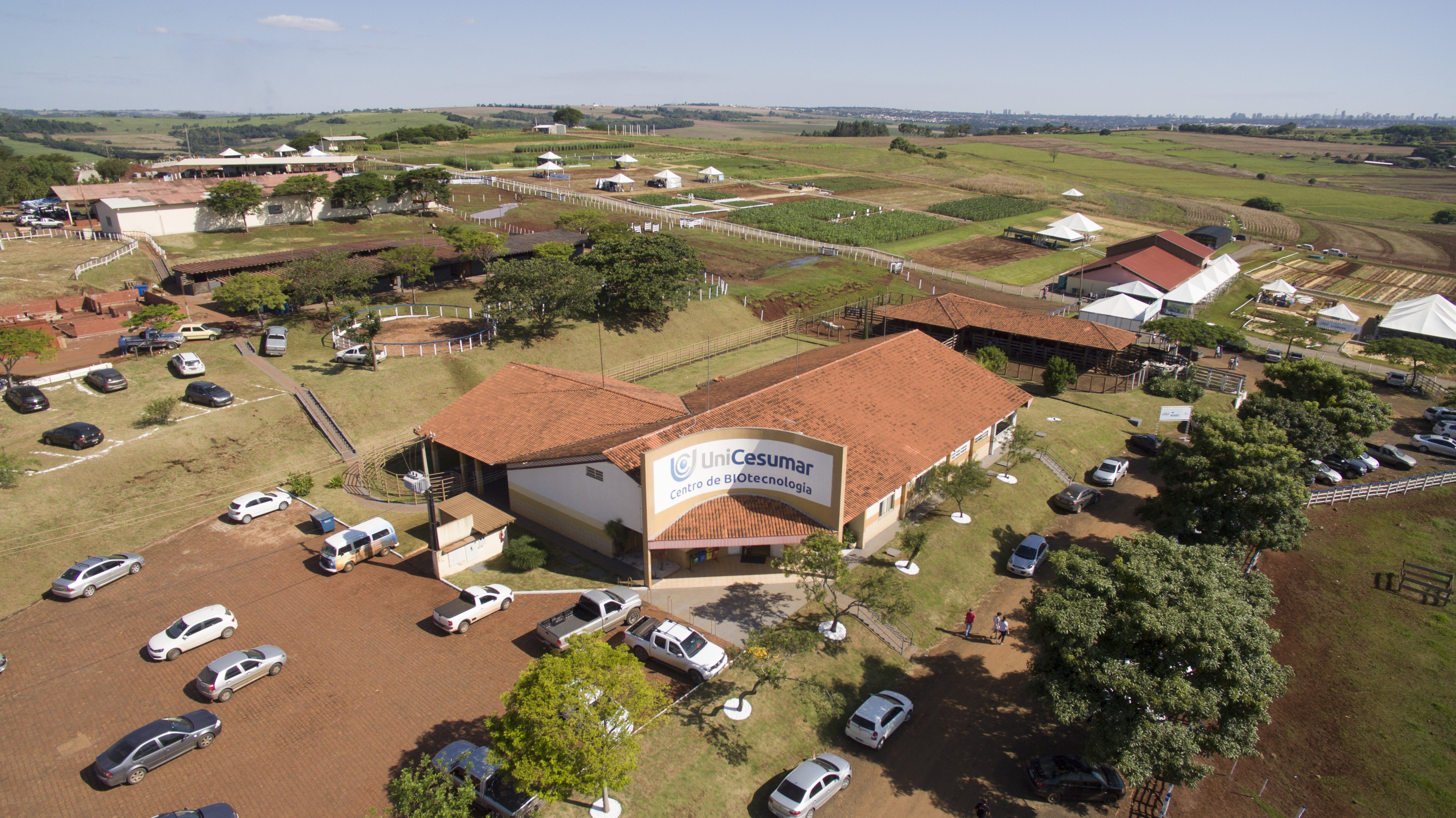 Cursos de especialização querem levar conhecimento para que profissionais pensem “da porteira para fora” | Unicesumar/Divulgação