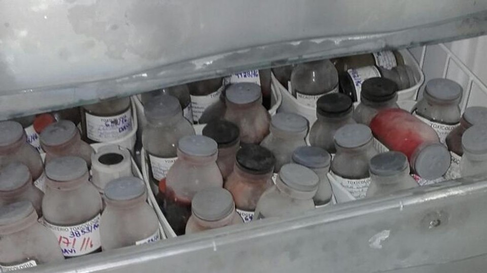 Freezer que acondiciona amostras que ainda não foram analisadas | /