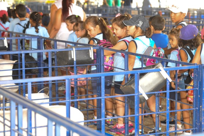 | E-mail: gilbertoabelha@yahoo.com