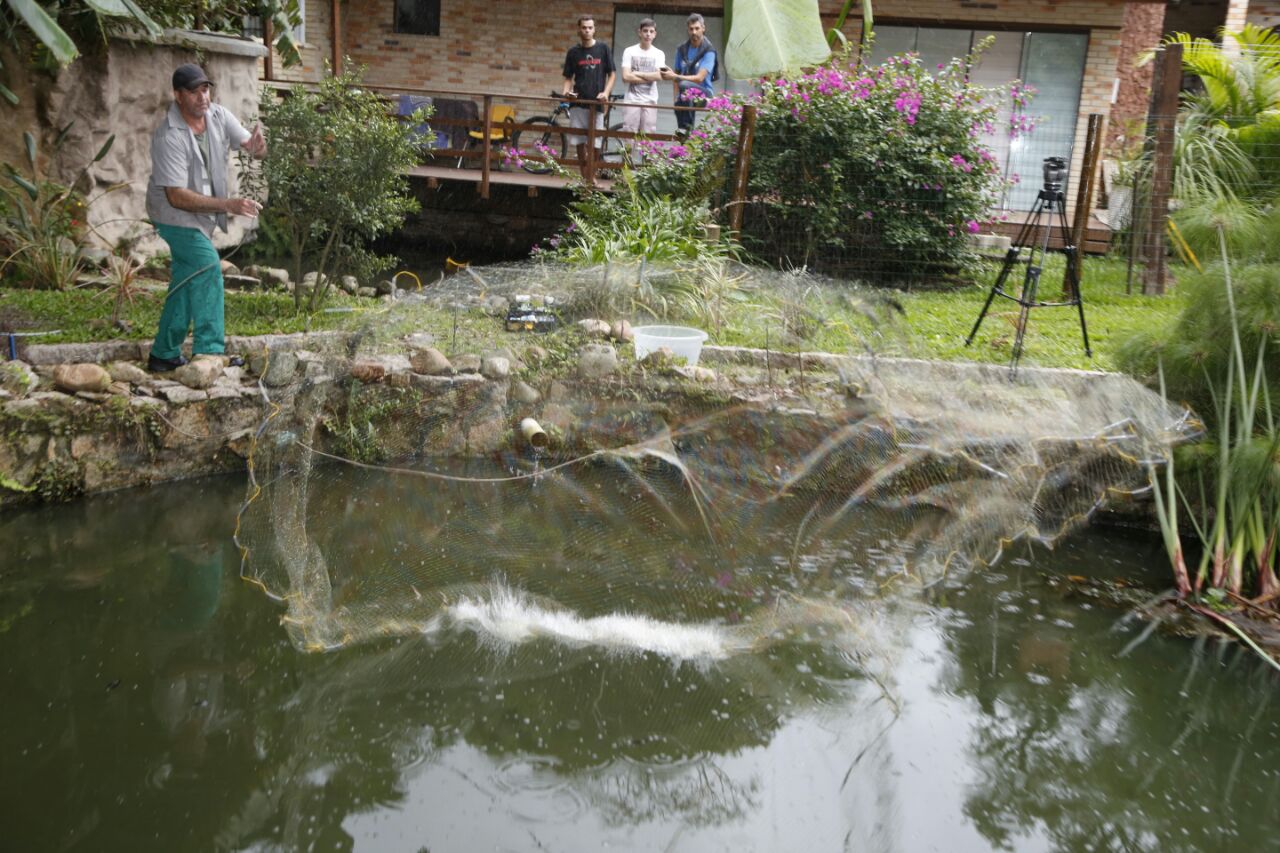 | Átila Alberti /Paraná Online