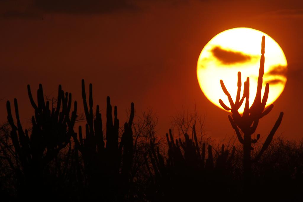 O pôr do sol em Massaroca, no interior da Bahia; técnica de cientistas prometem utilizar a energia do astro para sintetizar nitrogênio | Jonathan Campos/Gazeta do Povo