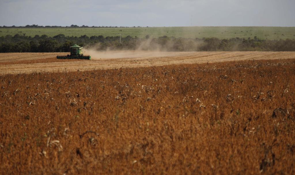 Somente no Tocantins, estima-se perda de 30% na safra de grãos | JONATHAN CAMPOS / AGENCIA DE NTI/JONATHAN CAMPOS / AGENCIA DE NTI