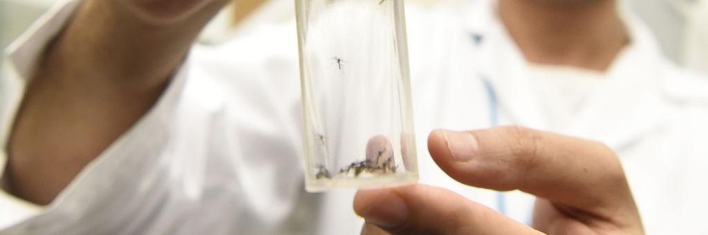  | Helmut Fohringer/AFP