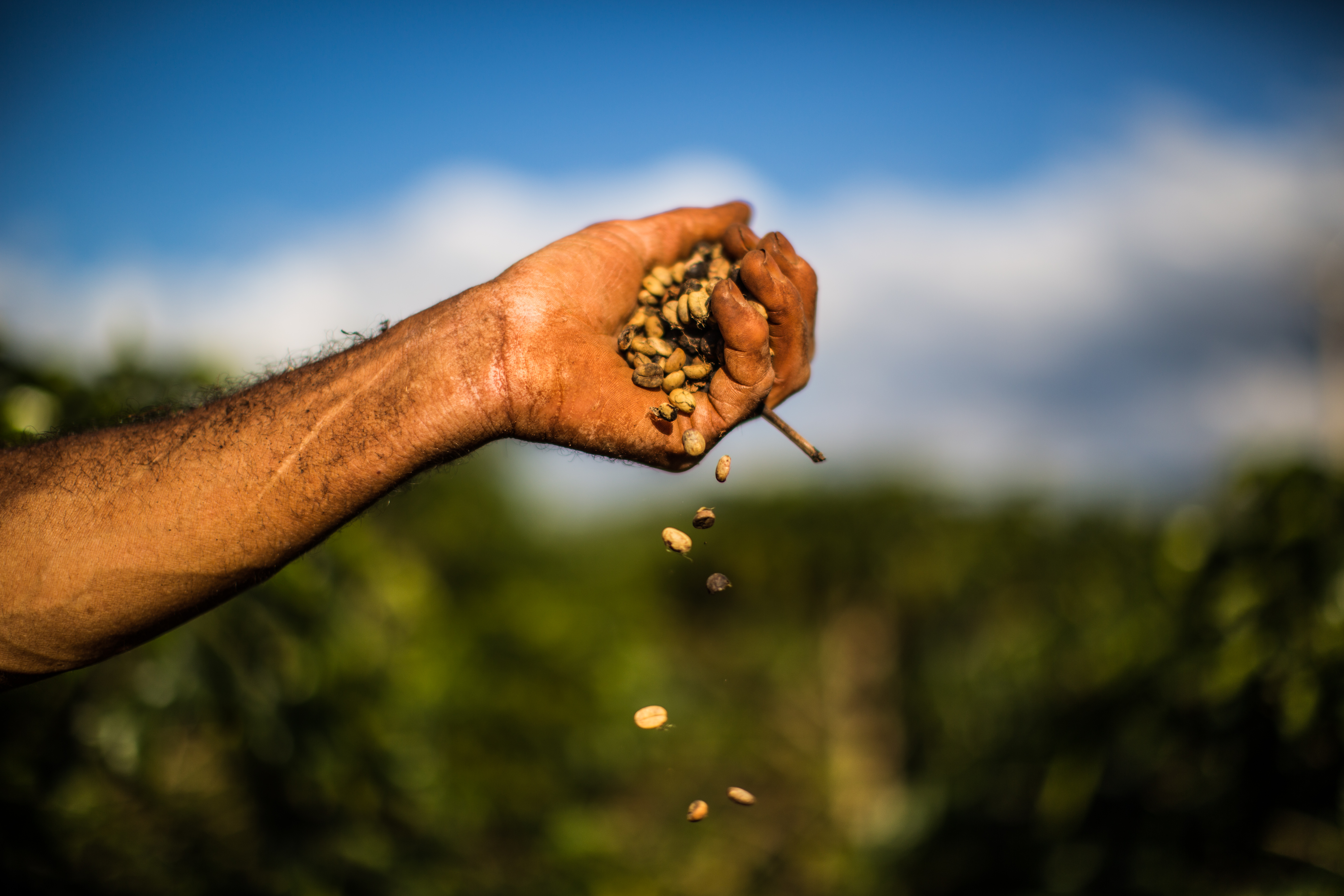 O acordo terá duração de dois anos e orçamento de R$ 12 milhões | BRUNNO COVELLO/BRUNNO COVELLO