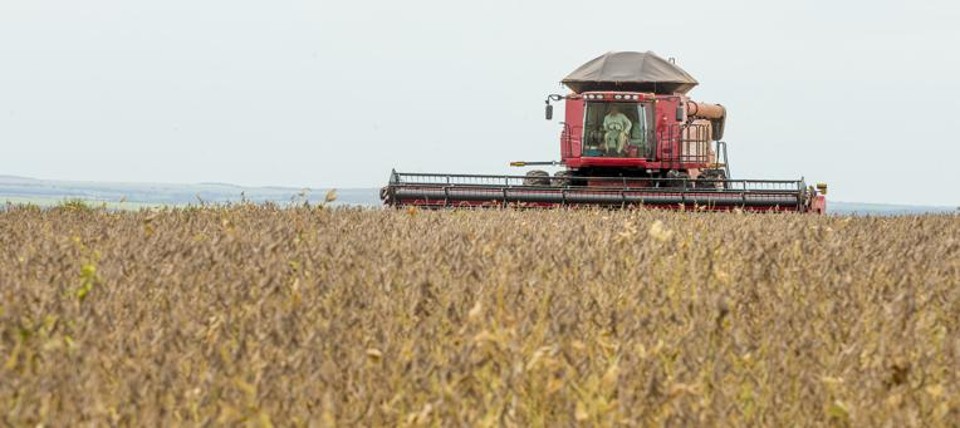 Emissões de certificados impulsionam setor do agronegócio em meio à retração de crédito bancário | Hugo Harada/Gazeta do Povo