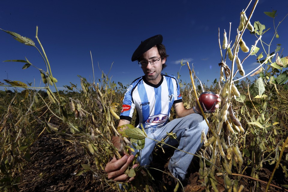 Falta de chuvas em janeiro afetou potencial da soja de verão no Uruguai, diz Andrés Feuer, que administra mais de mil hectares na região de Nuevo Berlín. | Albari Rosa/Gazeta do Povo