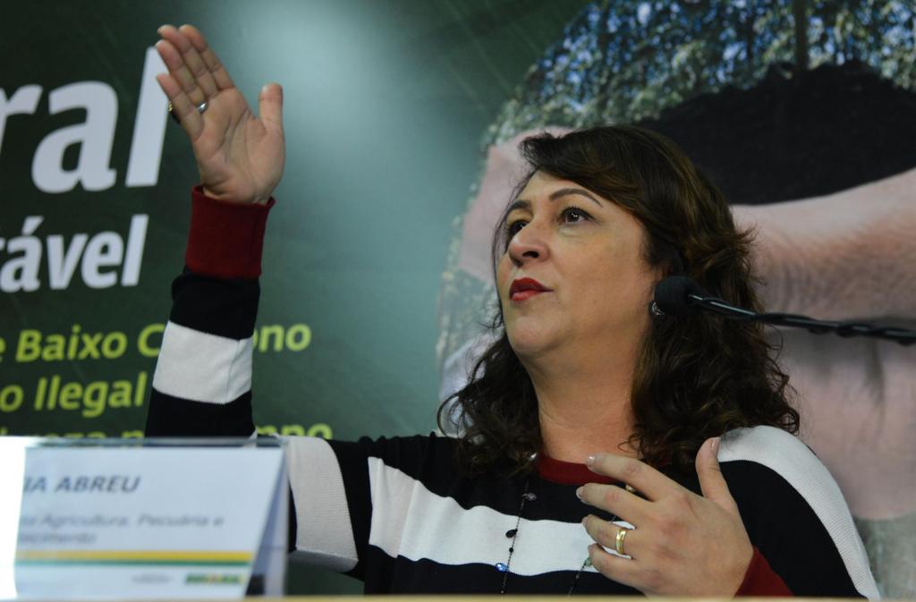 Além do ministério da Agricultura, o PMDB detém o comando das pastas de Minas e Energia, Saúde, Ciência e Tecnologia, Aviação Civil e Portos. | Valter Campanato/Agência Brasil/Fotos Públicas