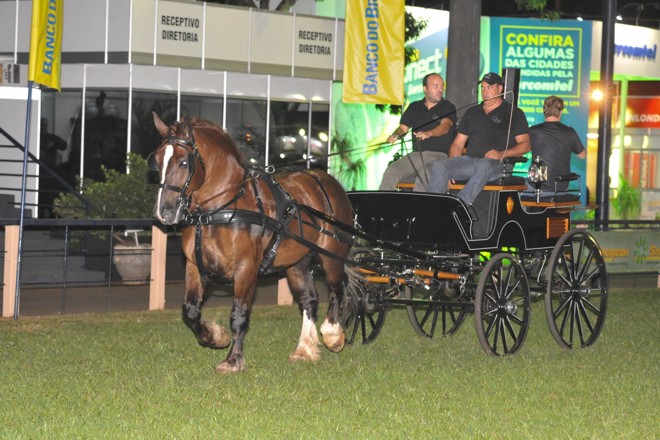 | E-mail: gilbertoabelha@yahoo.com