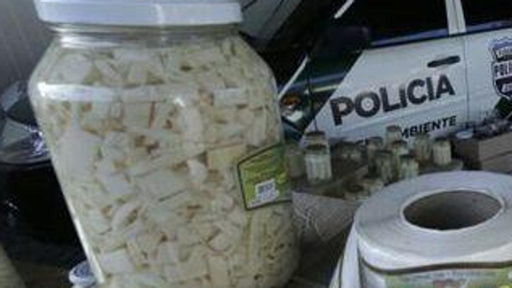 | Lineu Filho/Tribuna