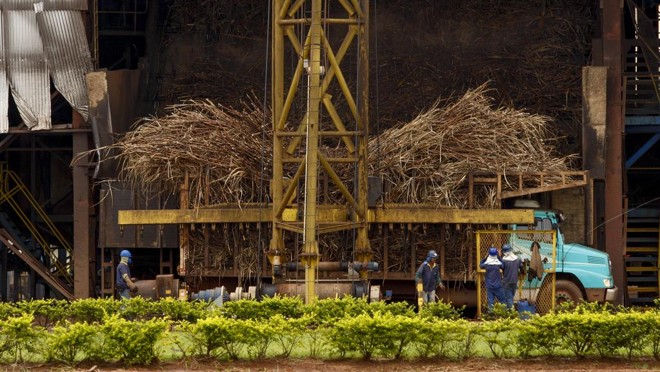 Além de elevar o custo da produção de etanol, o dólar alto pressiona a dívida do setor. | Hugo Harada/Gazeta do Povo