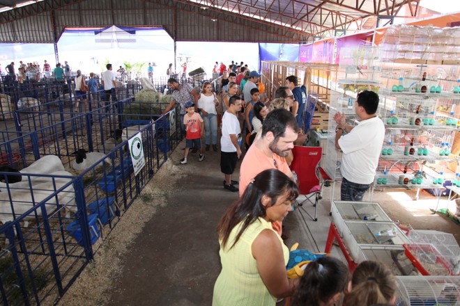 | Photographer:Willians Otaviano