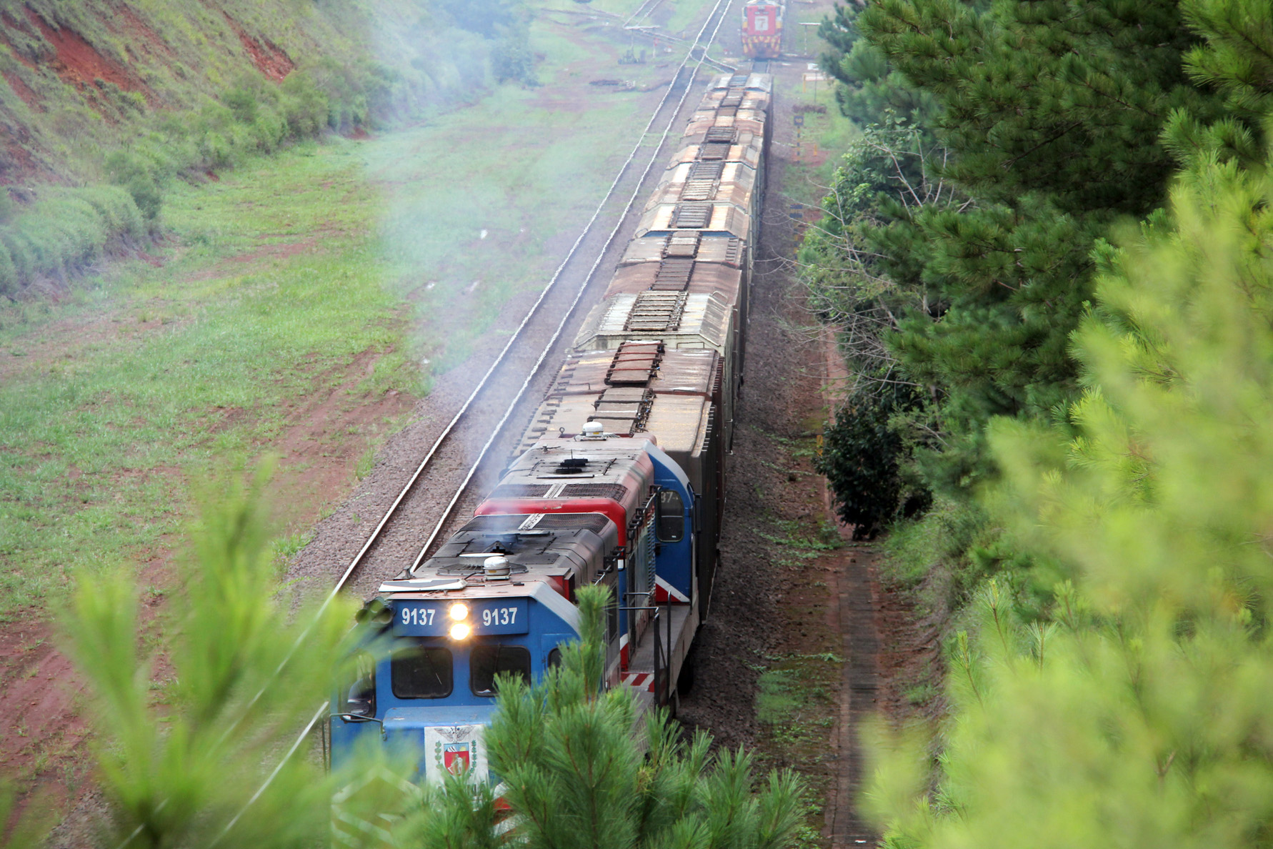 | Jorge Woll/Jorge Woll/Seil