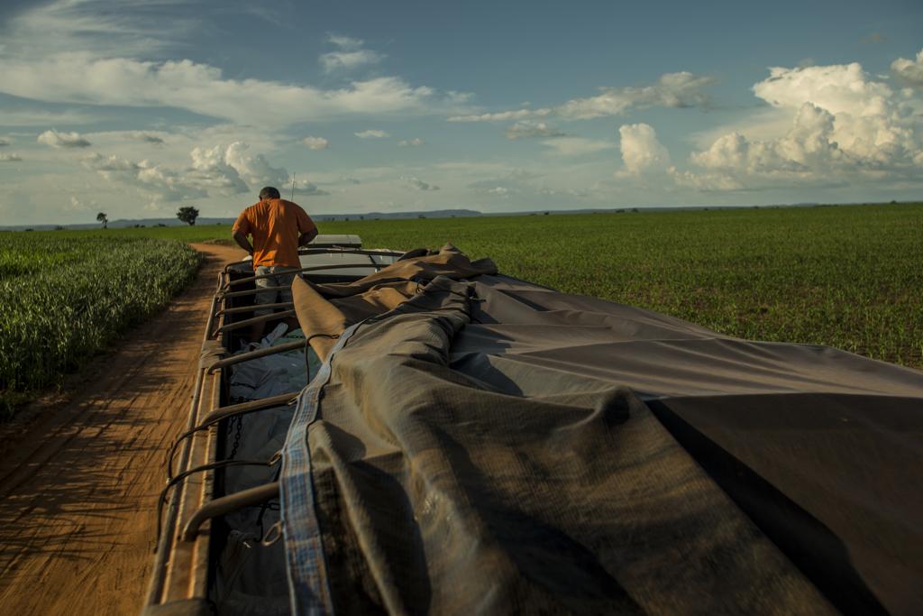 | Marcelo Andrade/Marcelo Andrade / agencia de not