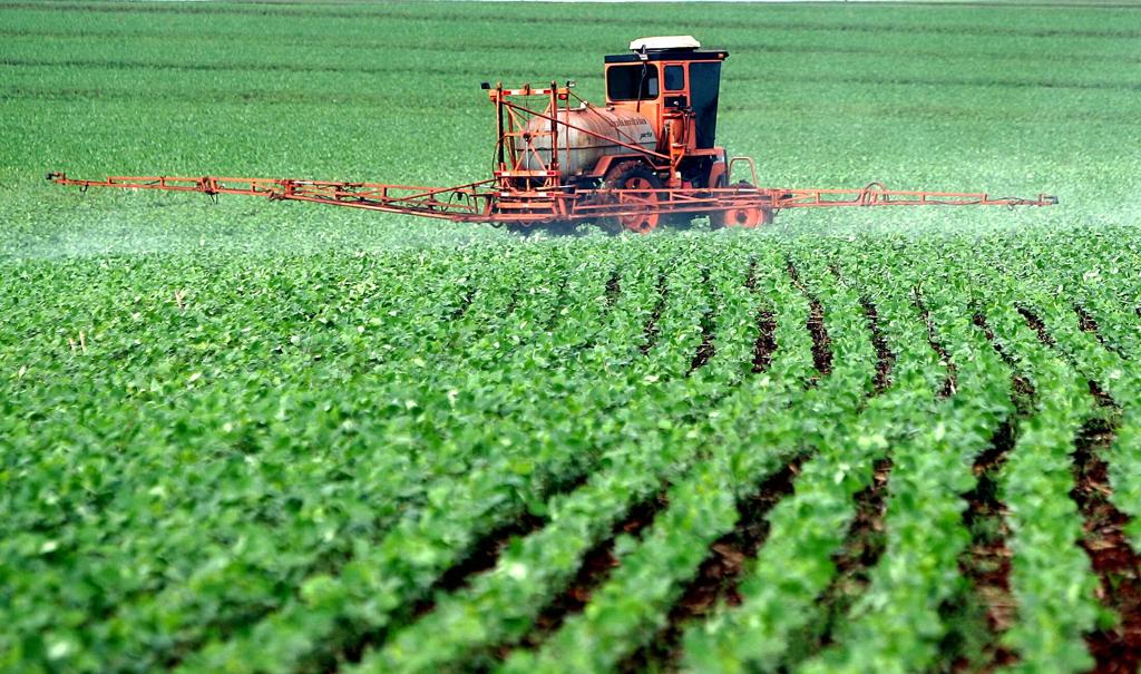 Medida foi adotada para proteger a cultura da soja do ataque da ferrugem asiática | HEDESON ALVES/HEDESON ALVES
