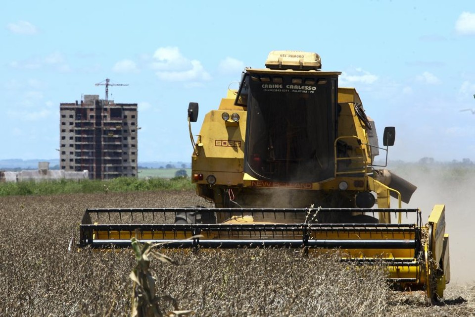 Todos os elos que envolvem a cadeia produtiva do setor apresentaram expansão neste ano, com destaque para a indústria | ANDRE RODRIGUES/ANDRE RODRIGUES