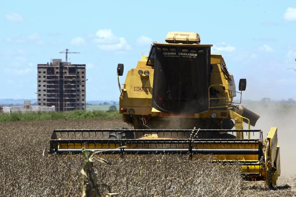 Todos os elos que envolvem a cadeia produtiva do setor apresentaram expansão neste ano, com destaque para a indústria