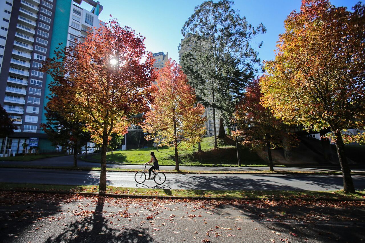  | Daniel Castellano/Gazeta do Povo