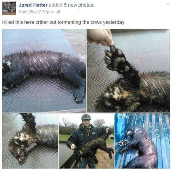  | Reprodução/Facebook  Ray L . Rafiti