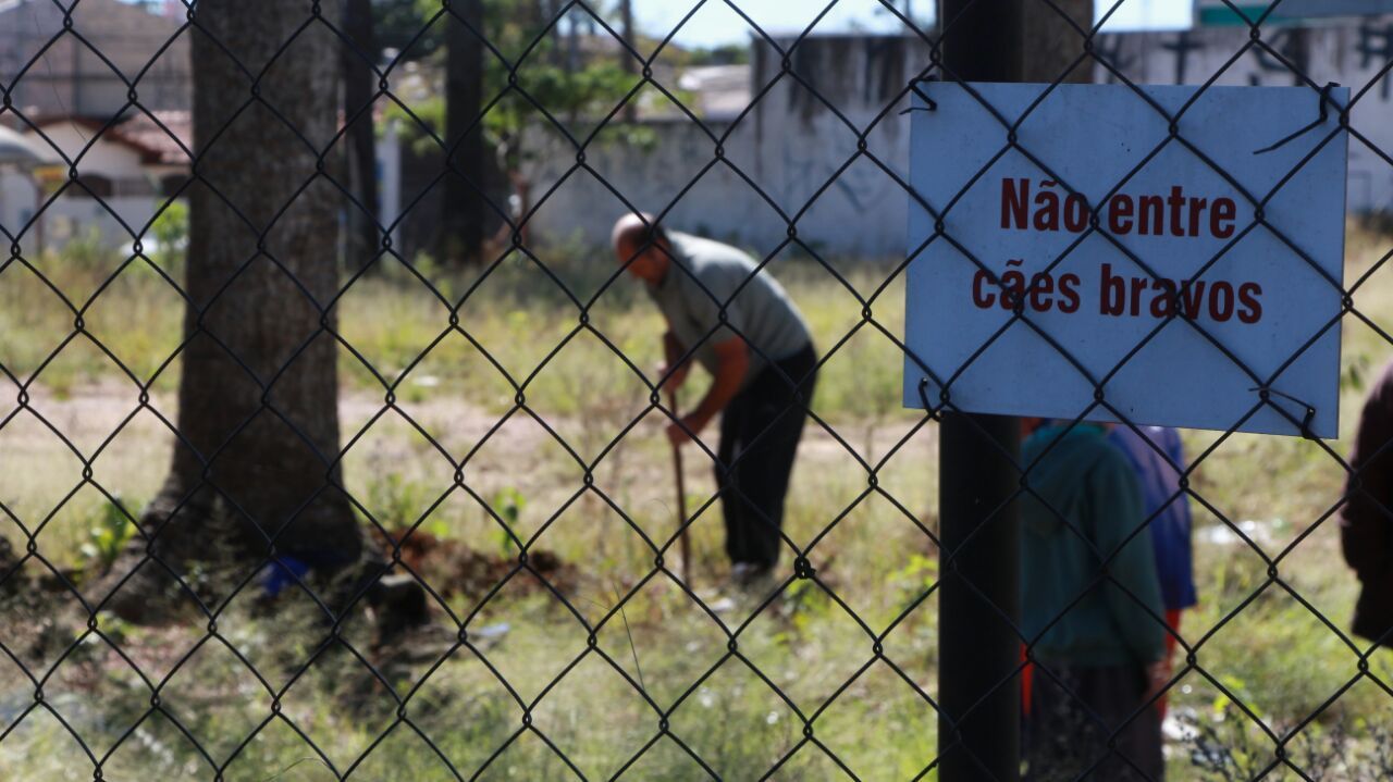 Placa em frente à casa onde vivia o animal | Átila Alberti/Paraná Online