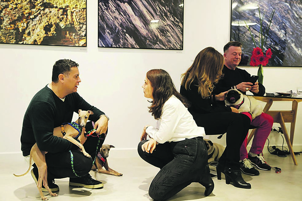 Acompanhado de seus galgos Enzo e Antonio, o artista plástico e designer Eleutherio Netto troca figurinhas com a fotógrafa Vilma Slomp durante a 1ª Expo Foto Diretriz e tarde de autógrafos dela no último sábado, na galeria Diretriz Arte Contemporânea, no Pátio Batel. | Miguel Gonçalves