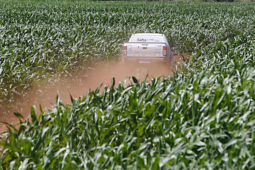 Inscrições para o encerramento da Expedição Safra podem ser feitas até esta terça-feira (17) | Albari Rosa/Gazeta do Povo