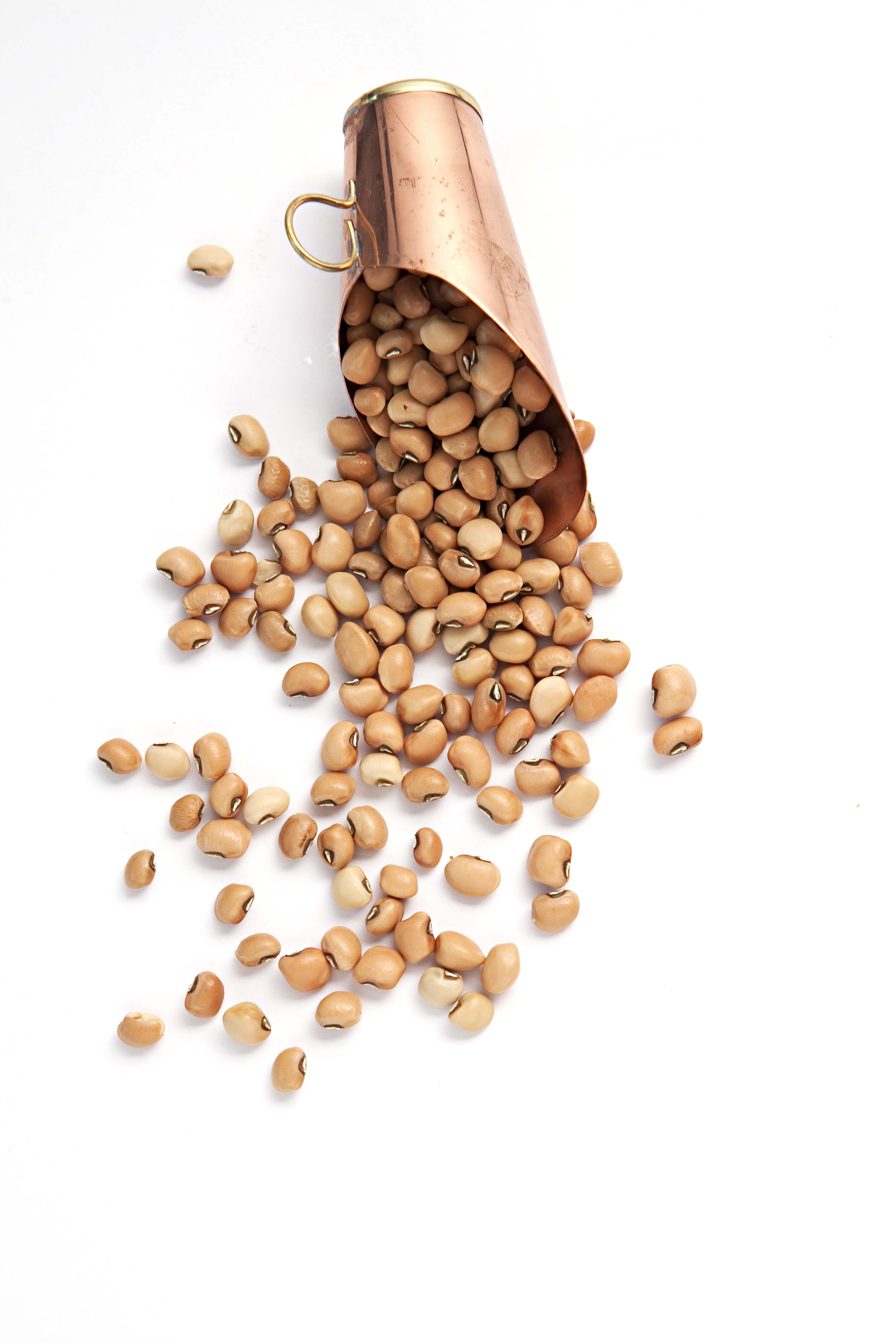 Alimento alcançou a cotação mais alta da história neste ano, com o carioca chegando a mais de R$ 200 a saca | Alexandre Mazzo / Gazeta do Povo