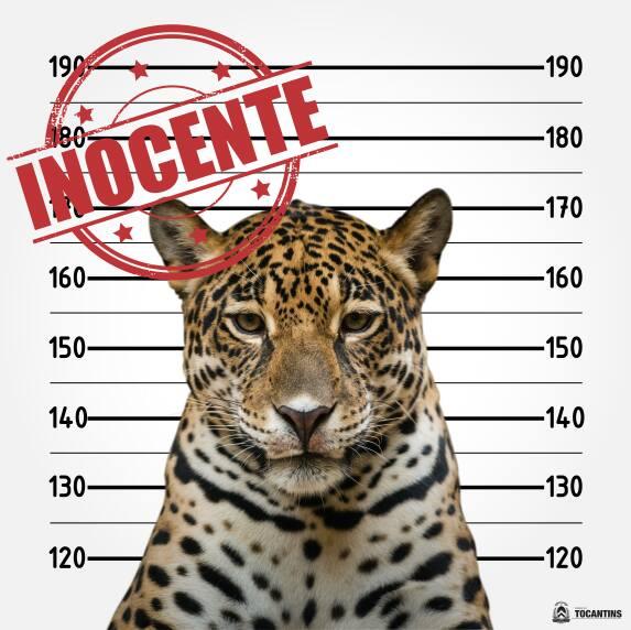 Governo do Tocantins divulgou um cartaz divertido a respeito do caso. |