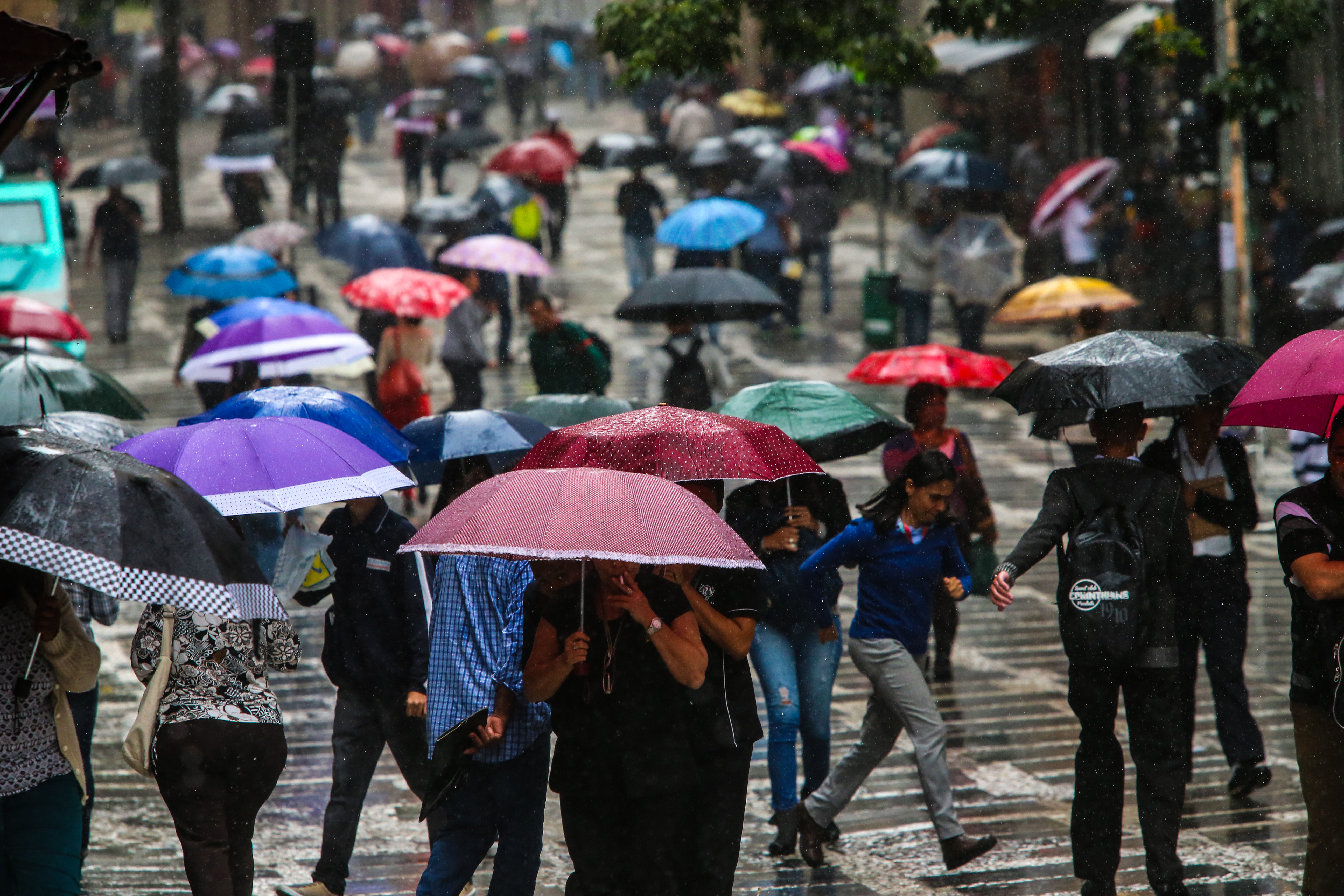 | PAULO PINTO/Fotos Públicas