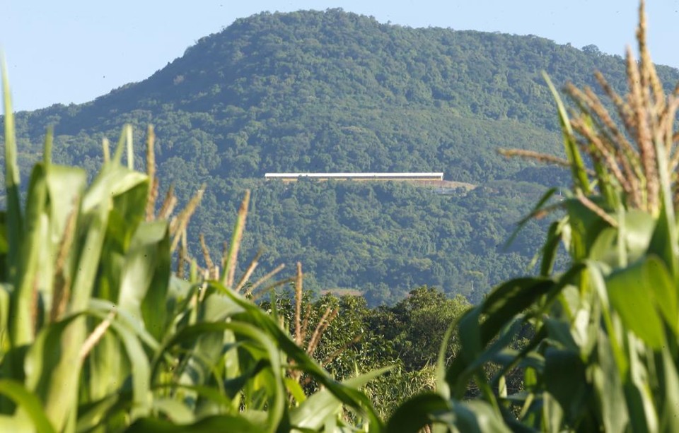 O que pesou mais nas críticas feitas pelos produtores foi o fato de o plano ter sido feito às pressas para ser lançado antes do afastamento de Dilma | Hugo Harada/Gazeta do Povo