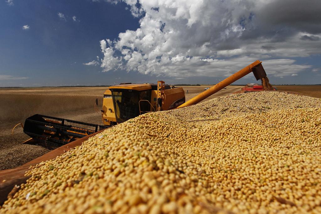 Soja contribuiu para balanço positivo da balança comercial em abril, diz Ministério do Desenvolvimento | Jonathan Campos/Gazeta do Povo