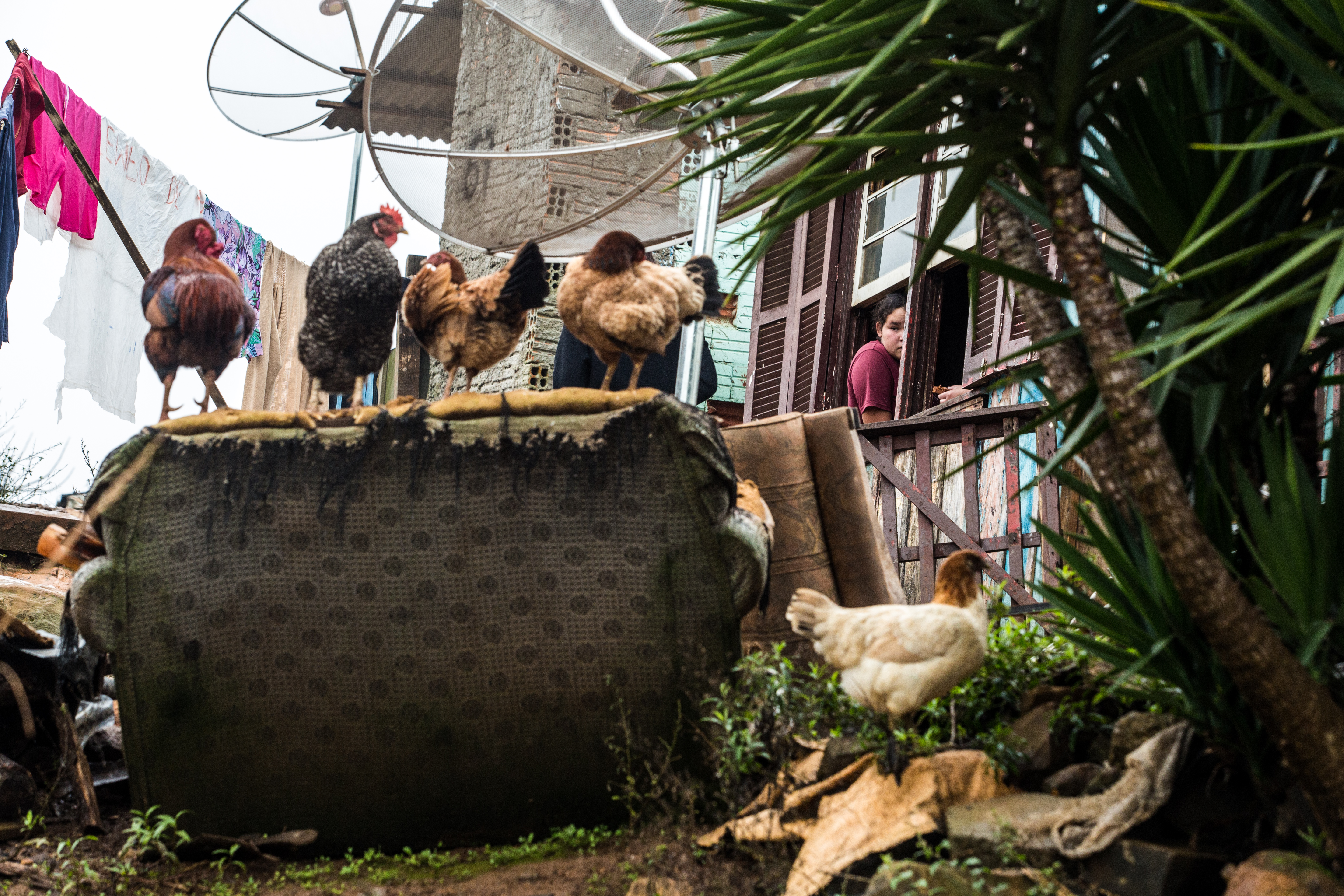 | Brunno Covello/Gazeta do Povo