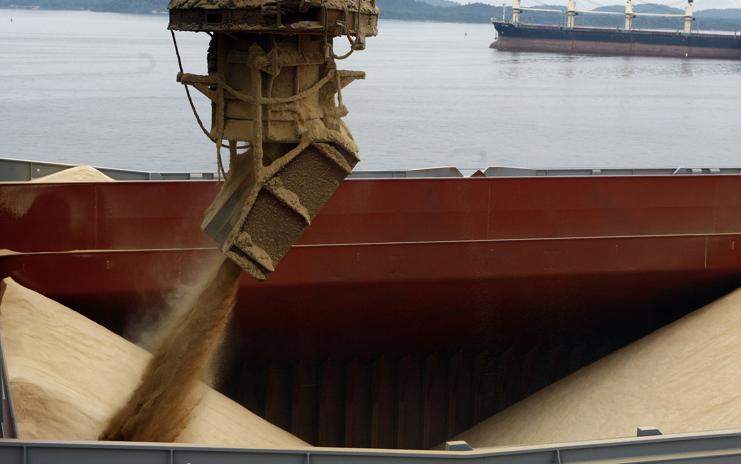 Assim como ocorreu com os embarques agrícolas de todo o Brasil no período, a soja foi quem teve a maior participação no volume recorde de exportações de janeiro a abril de 2016 | HENRY MILLEO/Agência de Notícias Gazeta do Povo