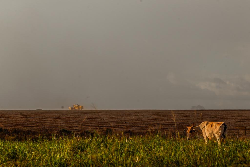 A expectativa do BRDE é contratar R$ 500 milhões em financiamentos apenas em maio e junho | Daniel Castellano / AGP/Daniel Castellano / AGP