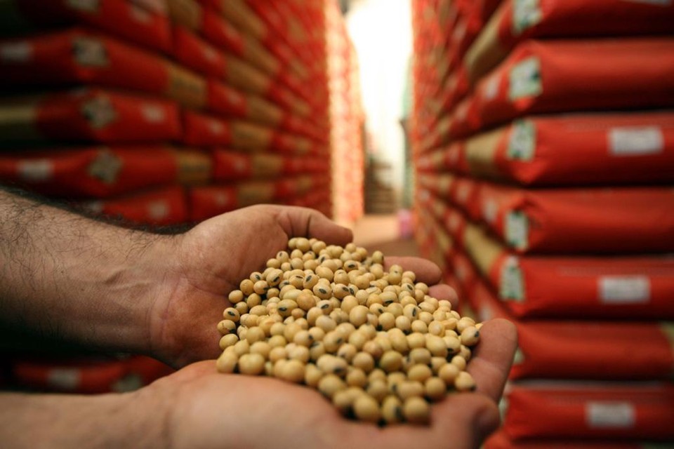 Bayer oficializou na segunda-feira (23) uma oferta de US$ 62 bilhões | ALBARI ROSA/ALBARI ROSA