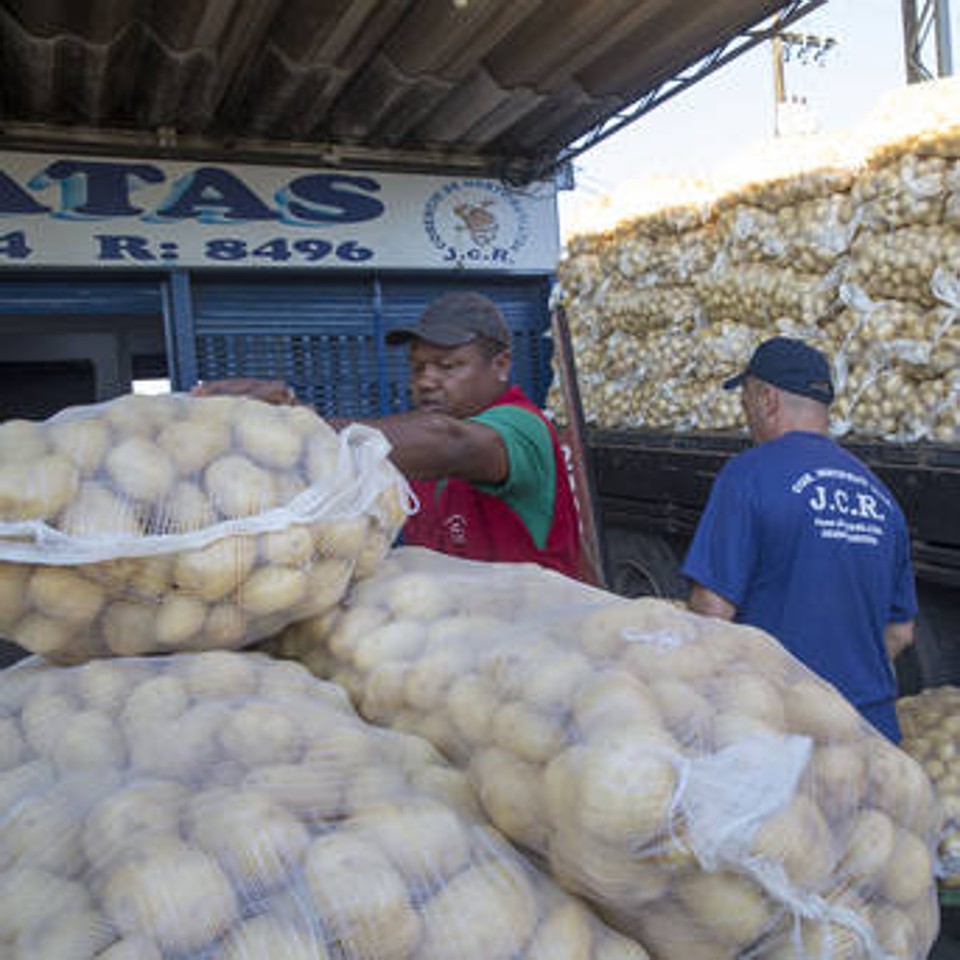O saco de 50 quilos da batata comum especial lavada, que estava cotado em média a R$ 190, baixou para R$ 150 | Divulgação/Ceasa