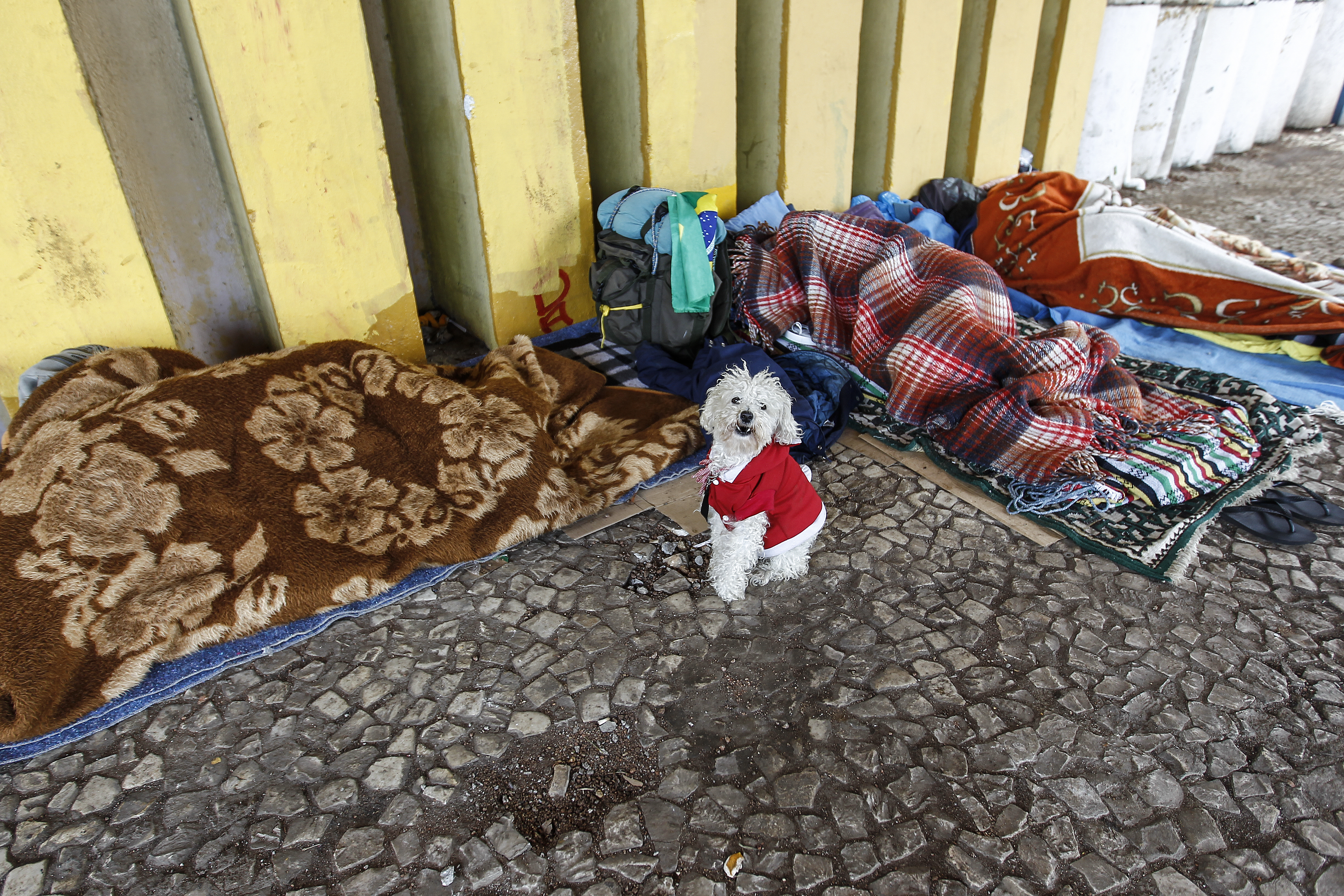 | Jonathan Campos/Gazeta do Povo