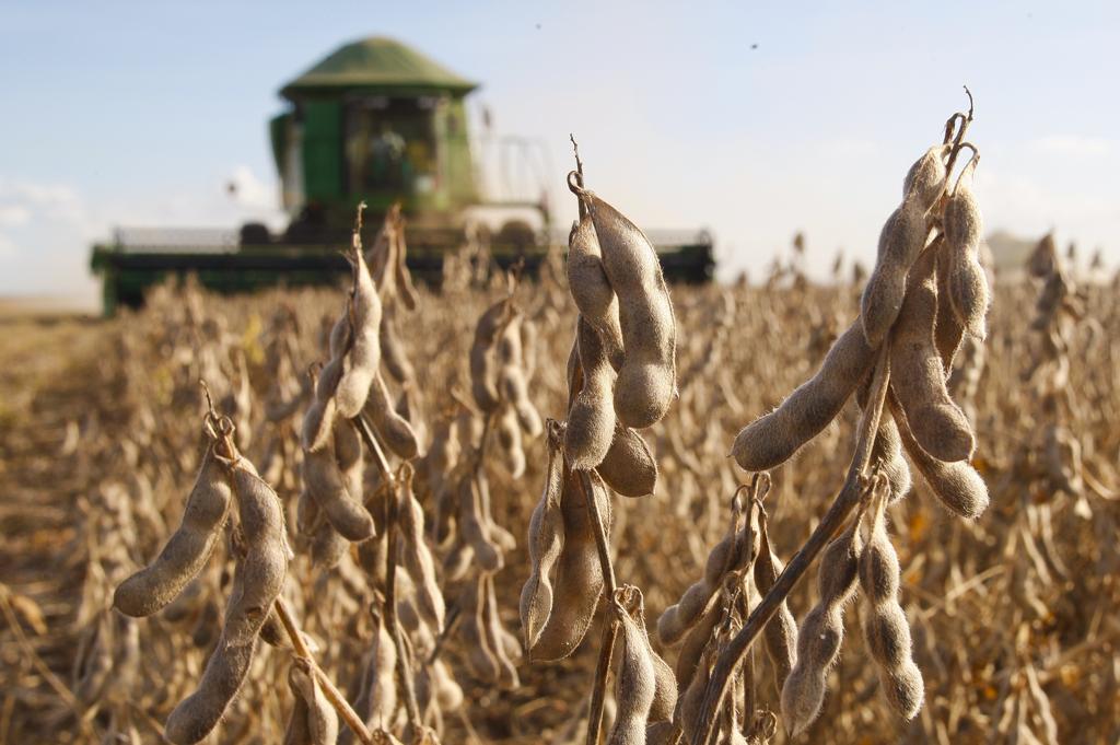 De R$ 64,1 bilhões em crédito de custeio, 80,6% foram contratados por grandes produtores e 19,4% por produtores beneficiários do Pronamp | HUGO HARADA/HUGO HARADA