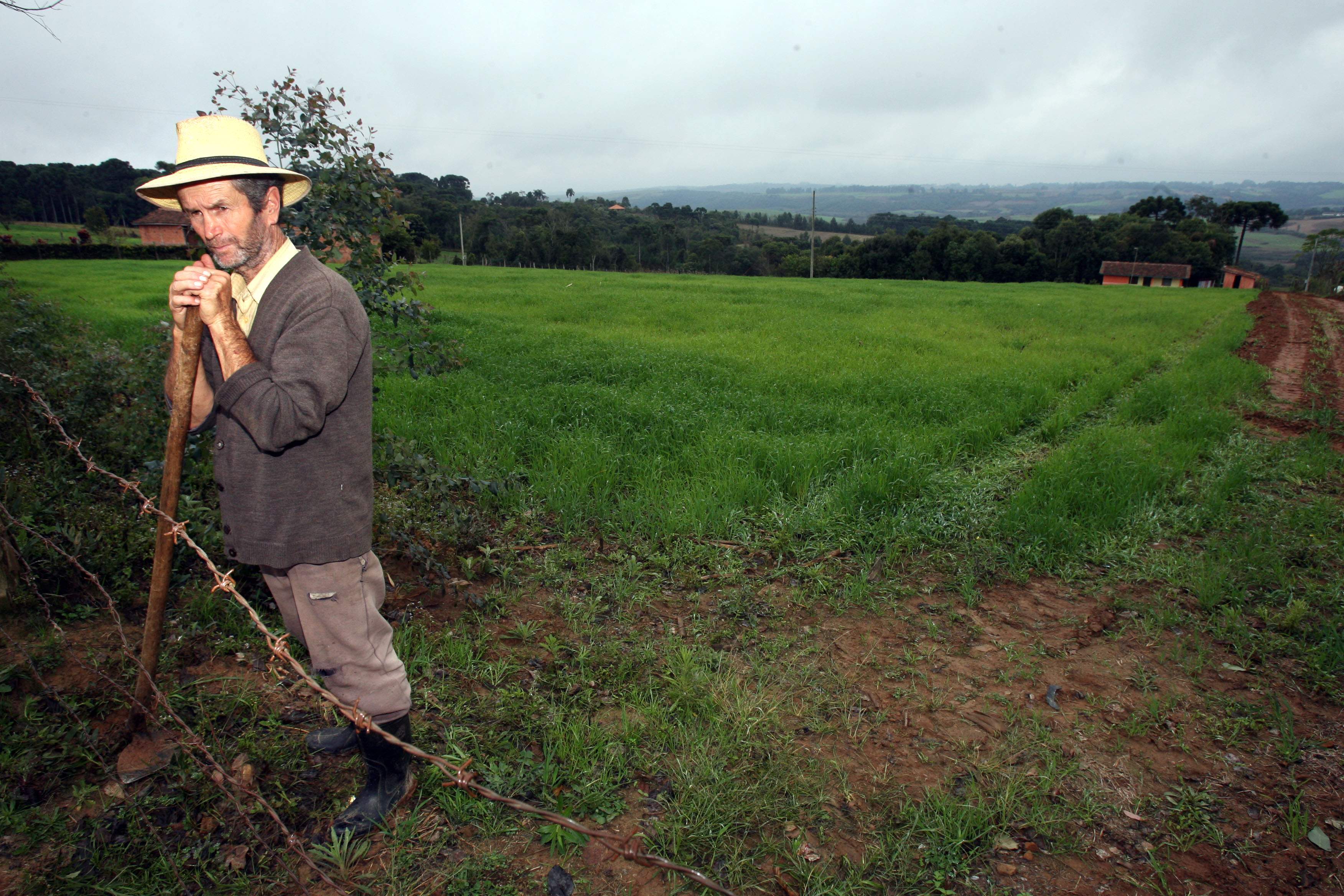 A capitalização da agricultura familiar nas regiões Norte e Nordeste é um passo crucial na redução dos níveis de pobreza | Priscila Forone/Priscila Forone