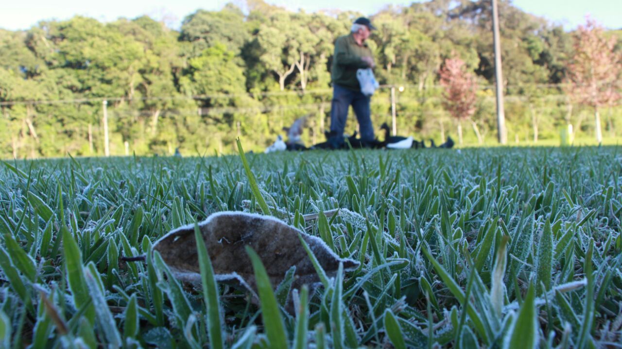 | Átila Alberti/Paraná Online