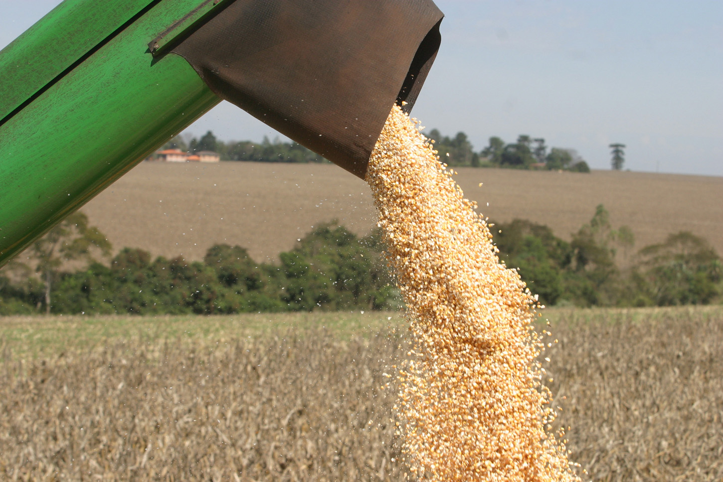 | DIRCEU PORTUGAL - GAZETA/DIRCEU PORTUGAL - GAZETA