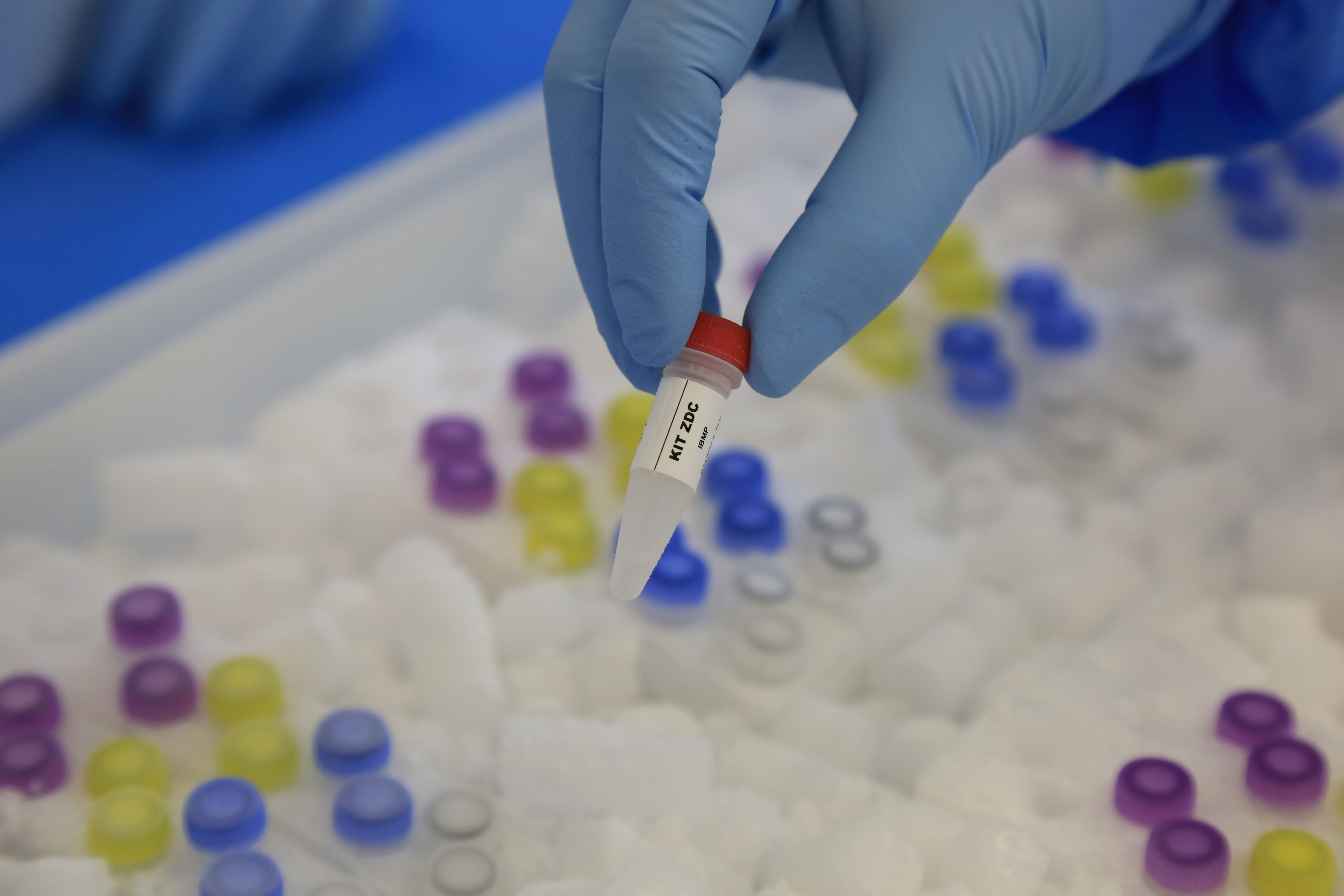  | Ivonaldo Alexandre/Gazeta do Povo