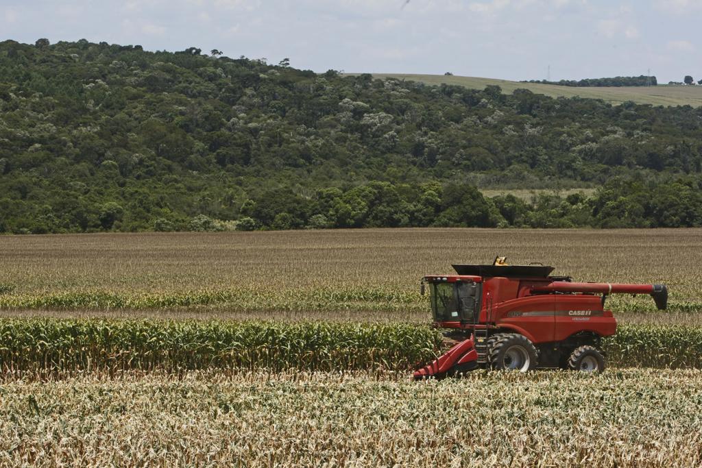 No Paraná, das 39 microrregiões, 20  respondem por  mais de 75% do  valor de produção do estado | HUGO HARADA/HUGO HARADA