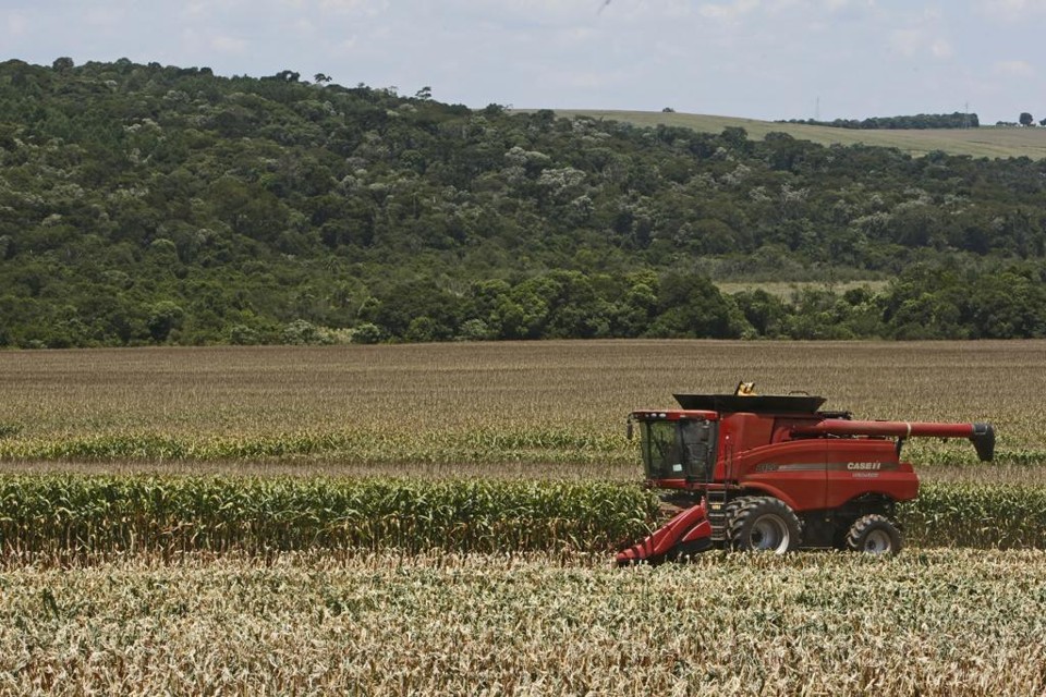 No Paraná, das 39 microrregiões, 20 respondem por mais de 75% do valor de produção do estado | HUGO HARADA/HUGO HARADA