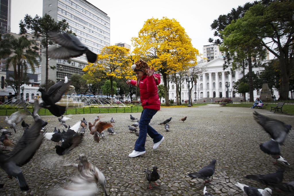 | Daniel Castellano/Gazeta do Povo