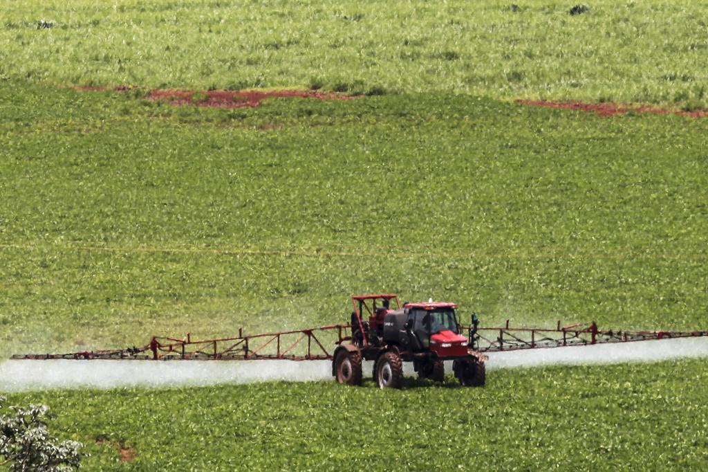 | André Rodrigues/Gazeta do Povo