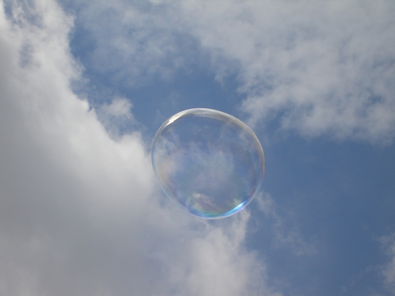 | Cordula Braun/Free Images