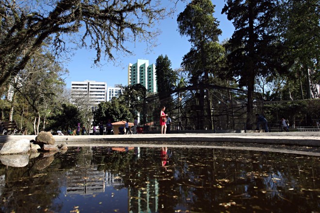  | Albari Rosa/Gazeta do Povo