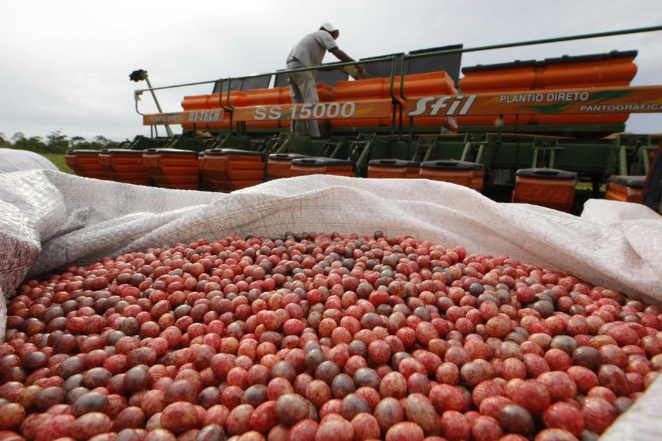 Monsanto é dona de uma das tecnologias mais usadas nas plantações de soja no mundo | JONATHAN CAMPOS/JONATHAN CAMPOS