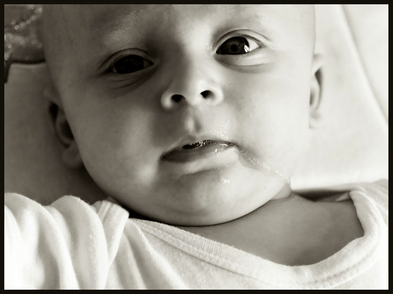 | T. Rolf/Free Images