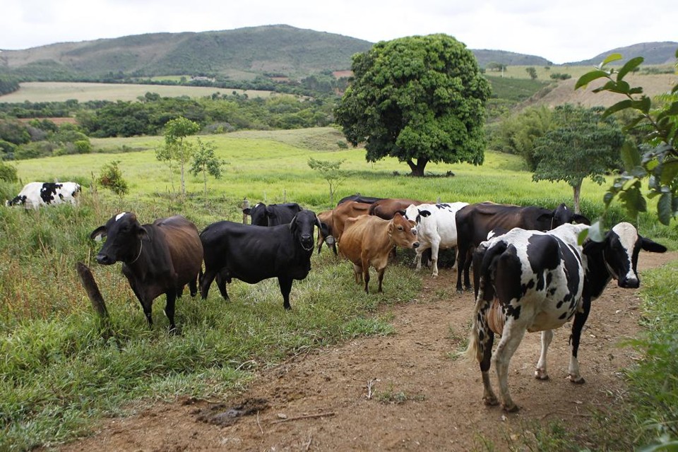 Prazo ampliado para fazer o CAR por ora vale apenas para pequenos agricultores, mas panorama pode mudar com tramitação de nova MP no Congresso | Jonathan Campos/Jonathan Campos
